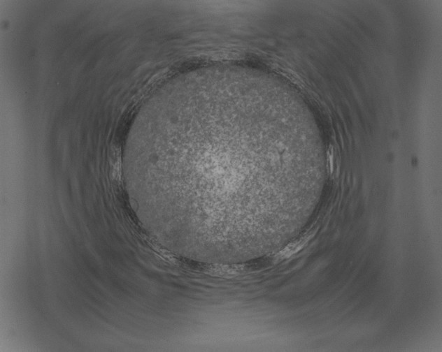 X0000078241251200612011556