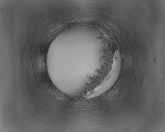 X0000078241252200612011556