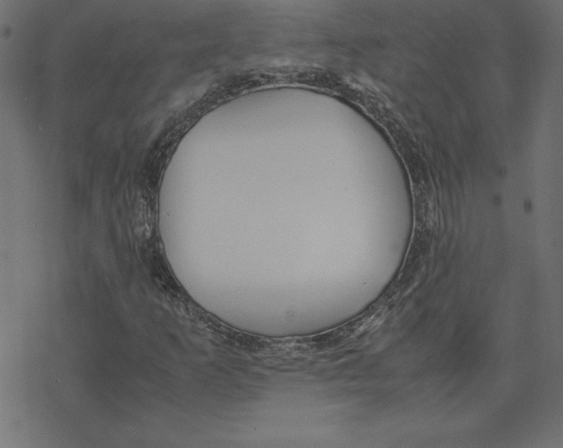 X0000078241253200612011556