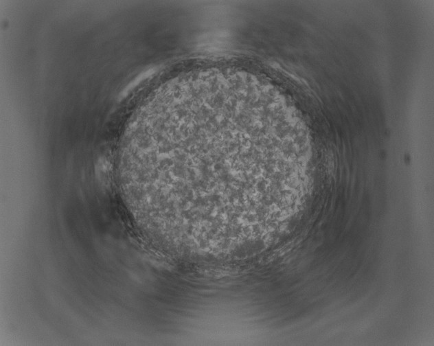 X0000078241254200612011556