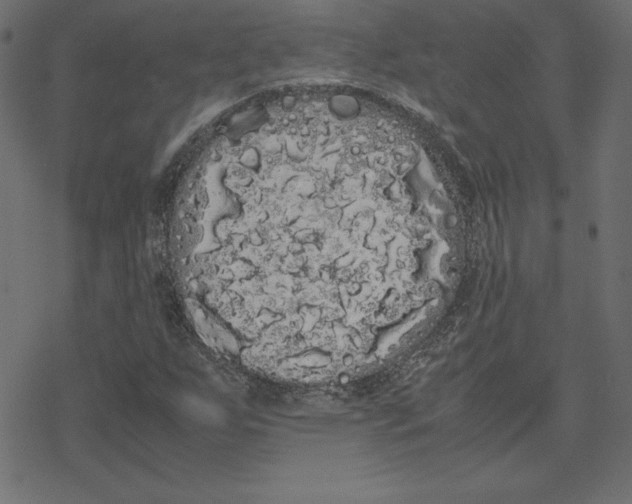 X0000078241255200612011556