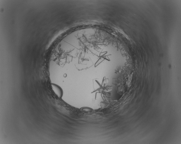 X0000078241256200612011556