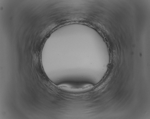 X0000078241257200612011556