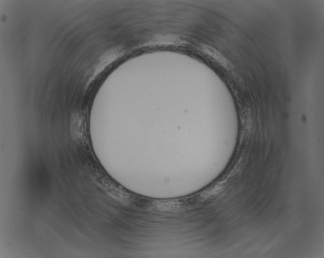 X0000078241258200612011556