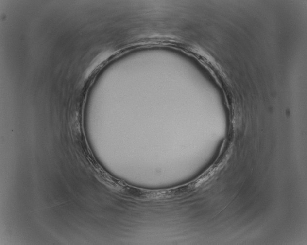 X0000078241259200612011556