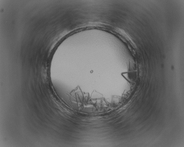 X0000078241260200612011556