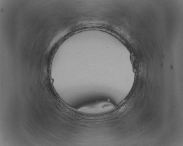 X0000078241261200612011556