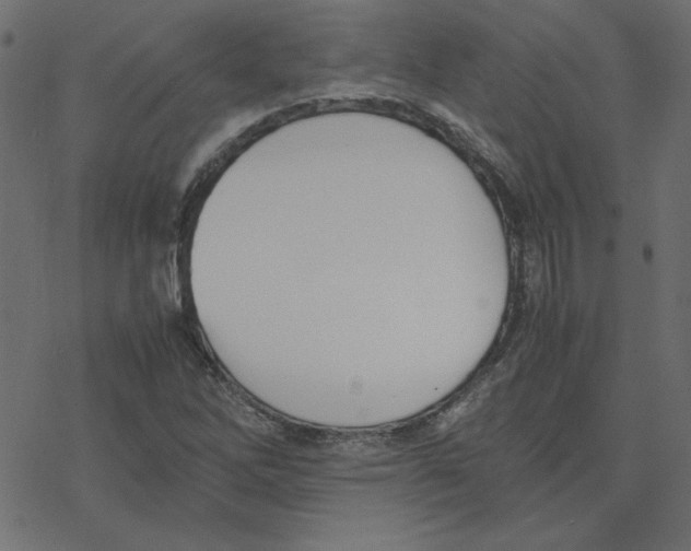 X0000078241262200612011556