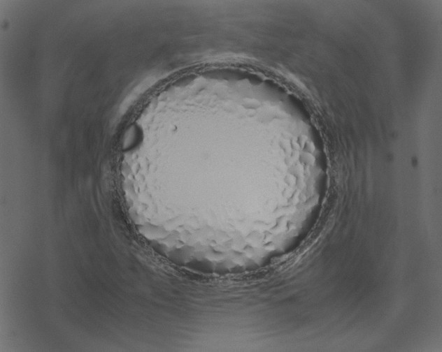 X0000078241263200612011556