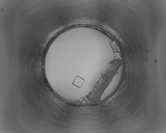 X0000078241264200612011556