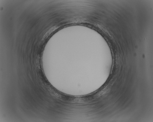 X0000078241265200612011556