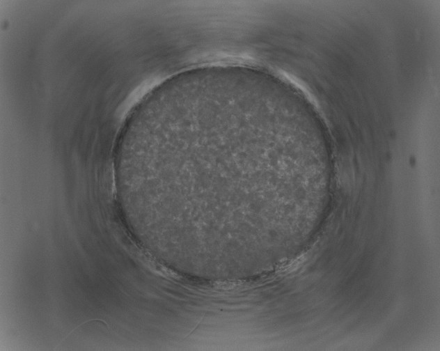 X0000078241267200612011556