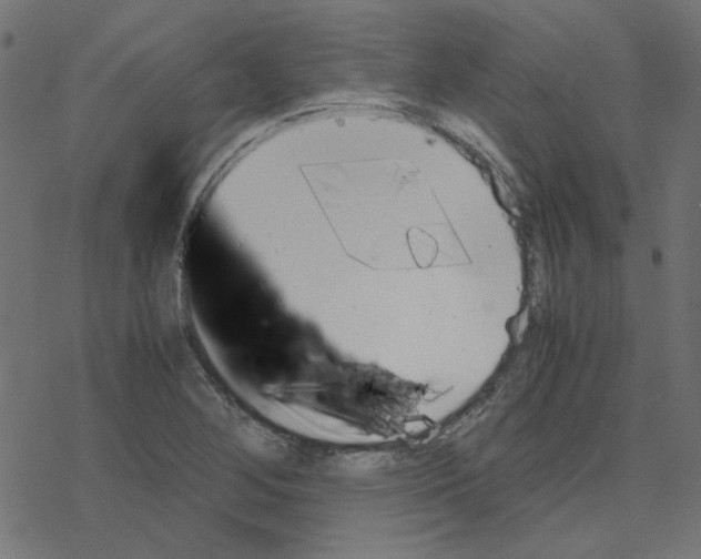 X0000078241268200612011556