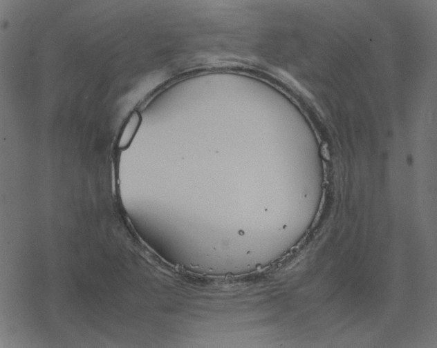 X0000078241269200612011555