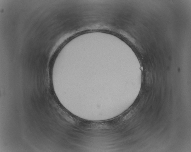 X0000078241270200612011555