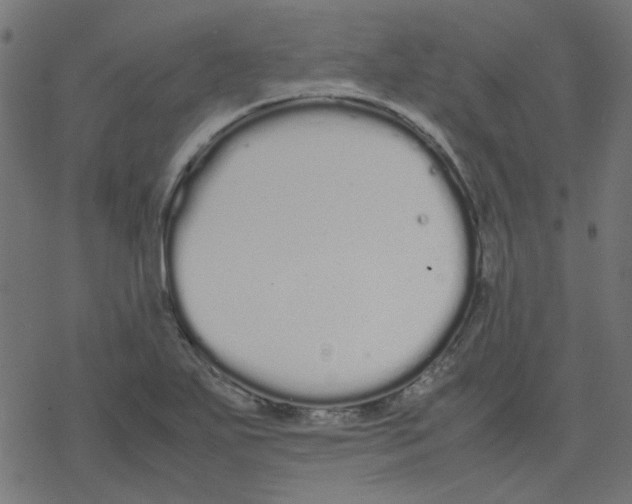 X0000078241271200612011555