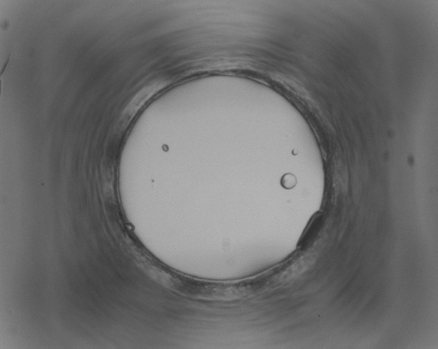 X0000078241273200612011555