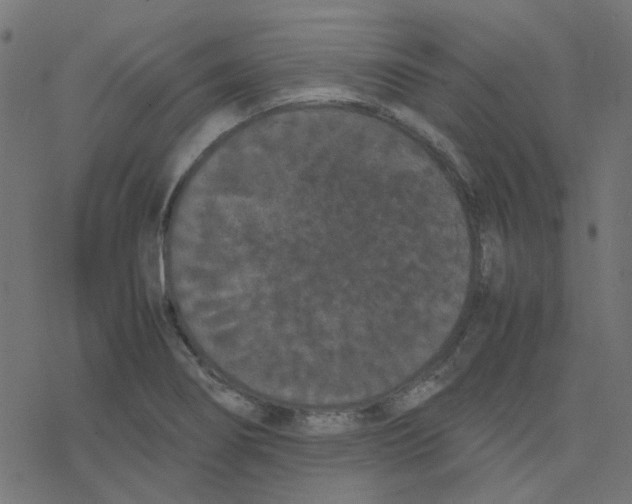 X0000078241274200612011555