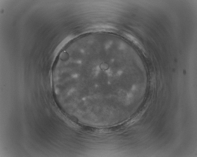 X0000078241275200612011555