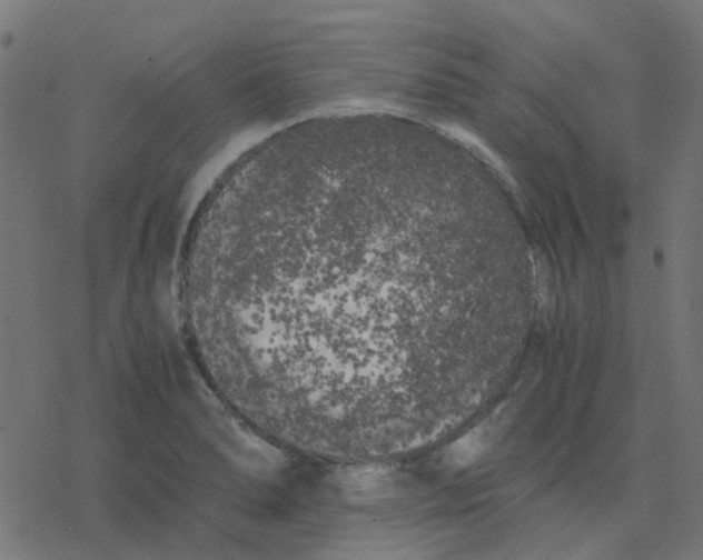 X0000078241278200612011555