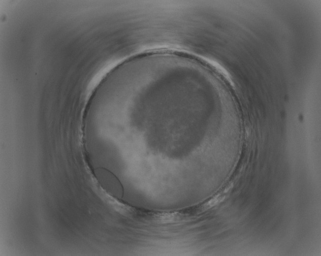 X0000078241279200612011555