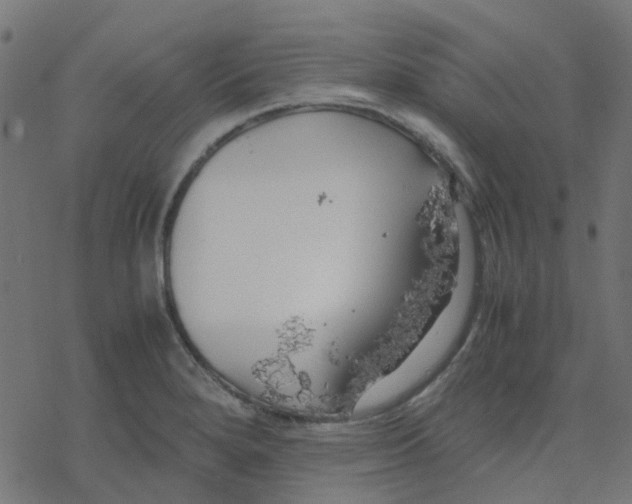 X0000078241280200612011555