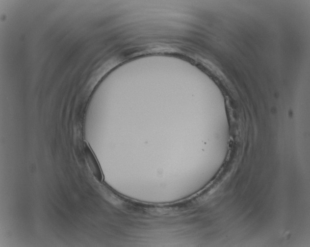 X0000078241281200612011555