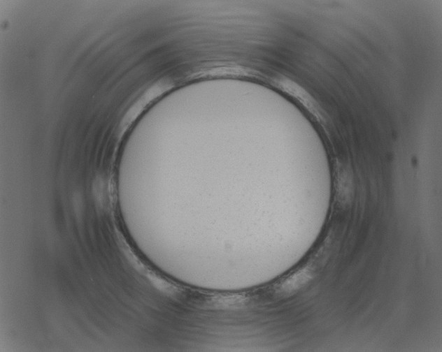 X0000078241282200612011555