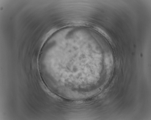 X0000078241283200612011555