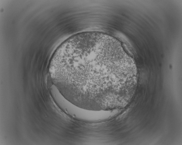 X0000078241284200612011555