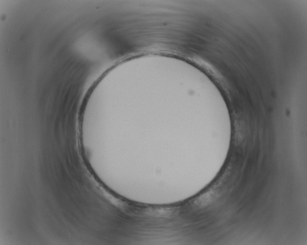 X0000078241286200612011555