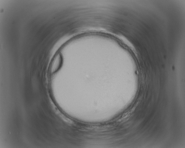 X0000078241287200612011555