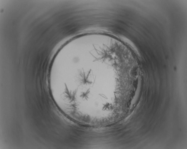 X0000078241288200612011555