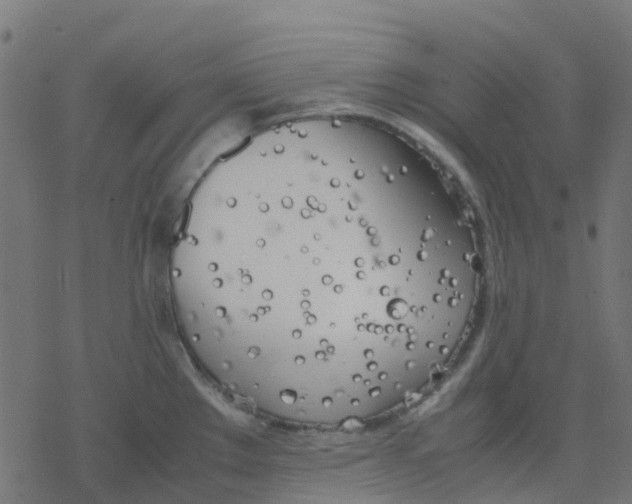 X0000078241289200612011555