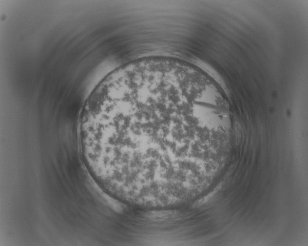 X0000078241290200612011555