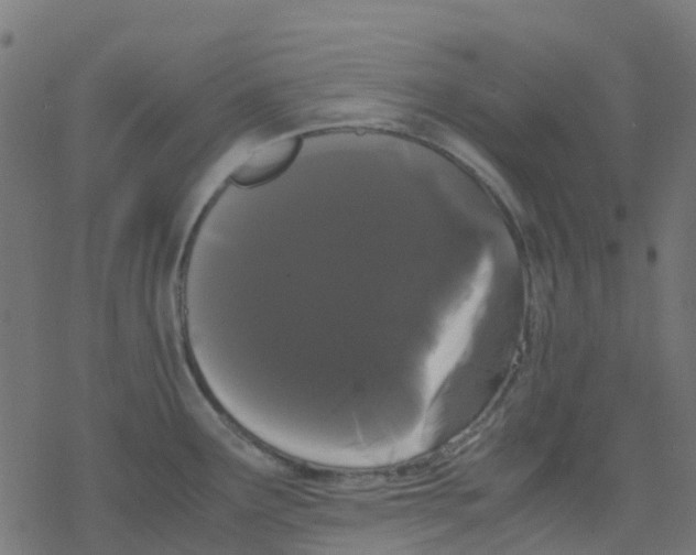 X0000078241291200612011555