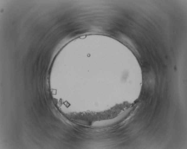 X0000078241292200612011555