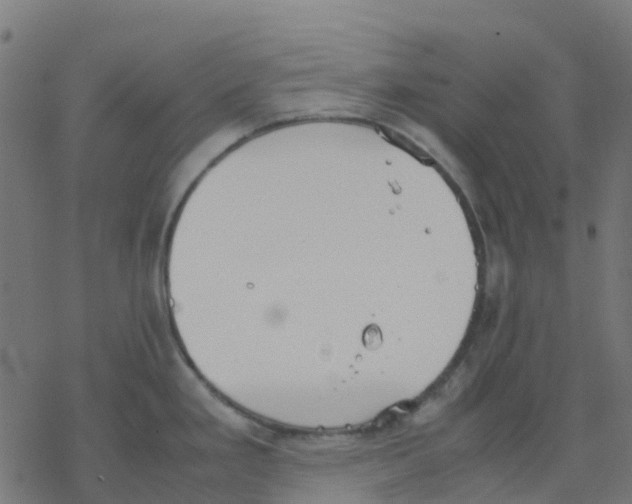 X0000078241293200612011555