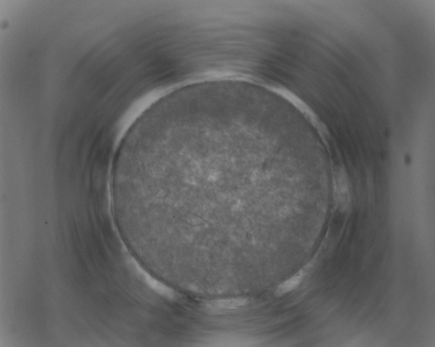 X0000078241294200612011555