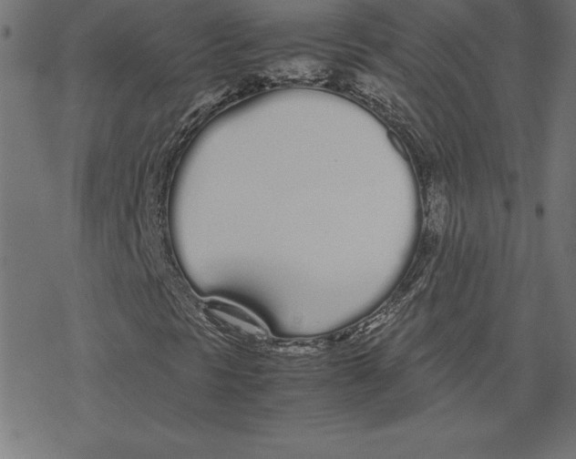 X0000078241297200612011554