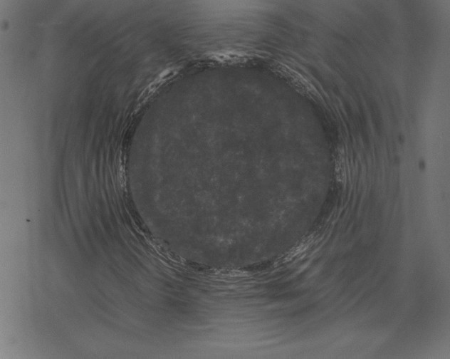 X0000078241298200612011554