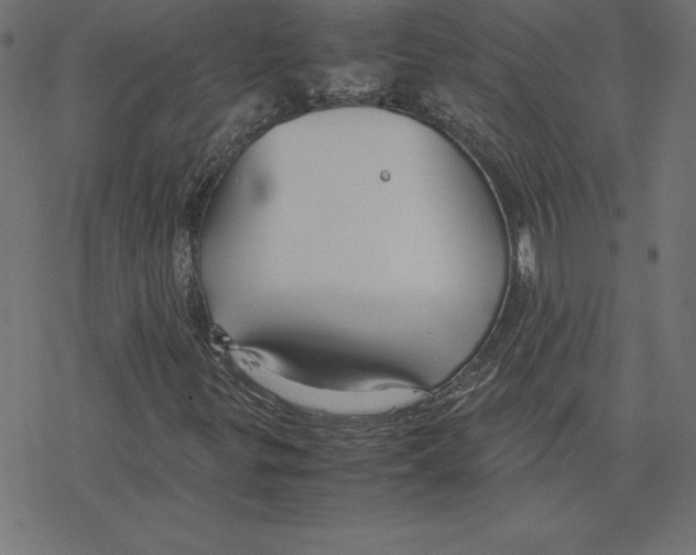 X0000078241299200612011554