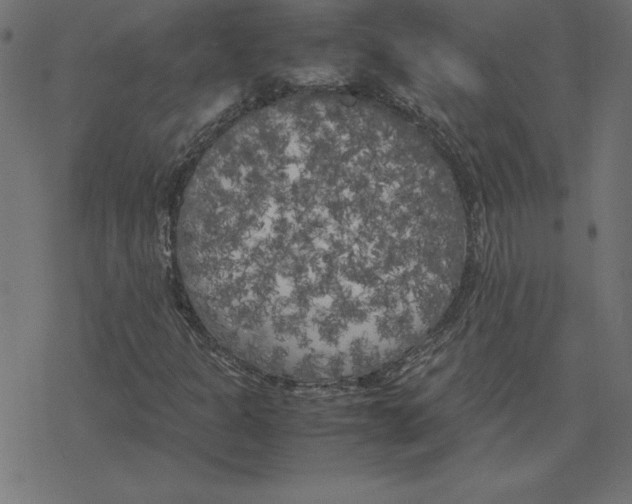 X0000078241301200612011554