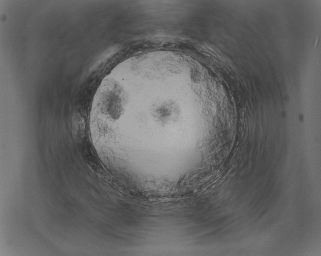 X0000078241302200612011554