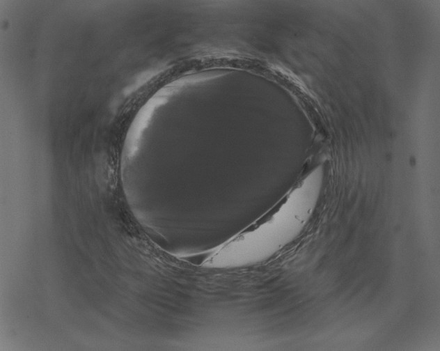 X0000078241303200612011554