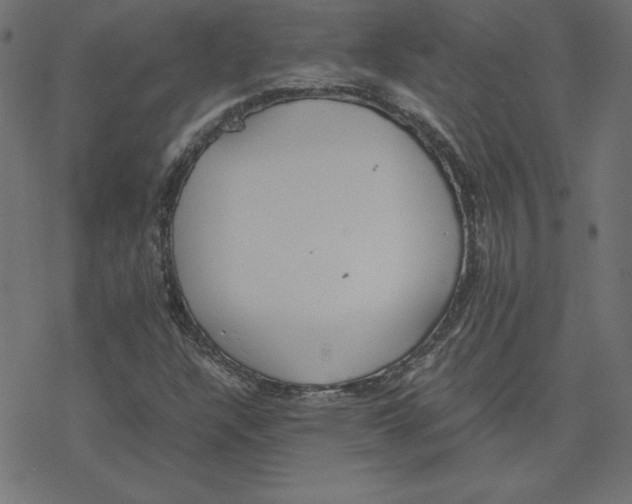 X0000078241304200612011554