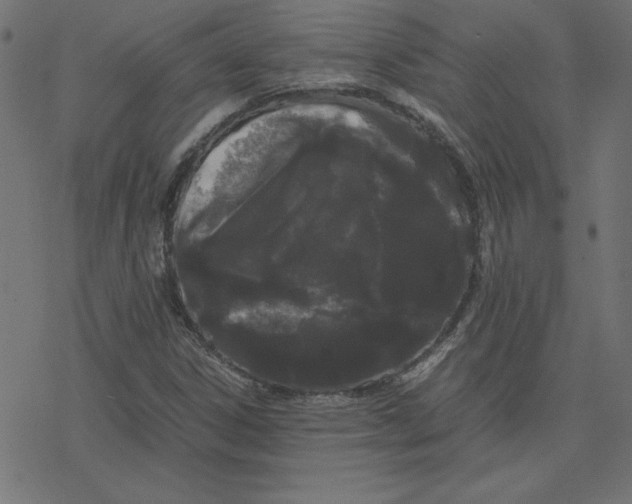 X0000078241306200612011554