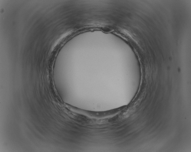 X0000078241307200612011554