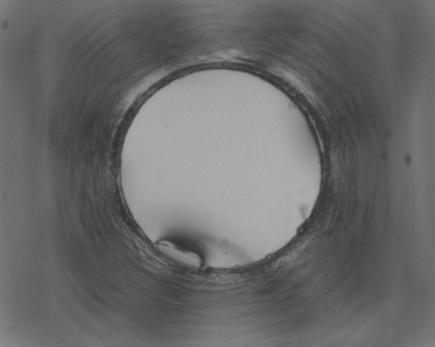 X0000078241308200612011554