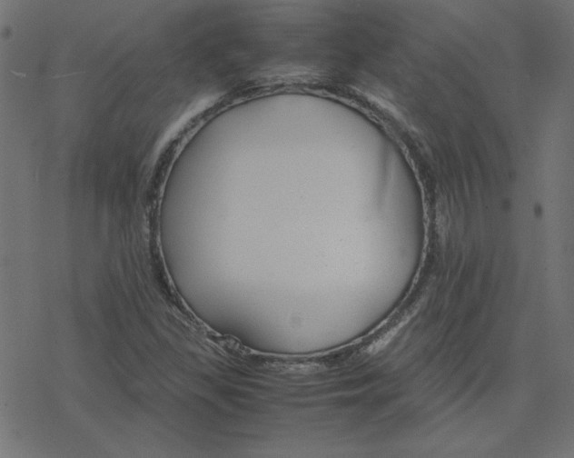 X0000078241309200612011554